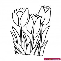 okul öncesınde sağlık haftası ,kağit işleri maske hayvanlar engelliler haftasi ,meyveler ,meslekler sayılar (1938)