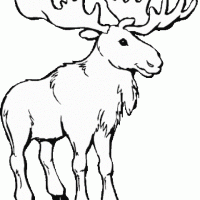 okul öncesınde sağlık haftası ,kağit işleri maske hayvanlar engelliler haftasi ,meyveler ,meslekler sayılar (1939)