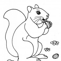 okul öncesınde sağlık haftası ,kağit işleri maske hayvanlar engelliler haftasi ,meyveler ,meslekler sayılar (1942)