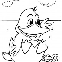 okul öncesınde sağlık haftası ,kağit işleri maske hayvanlar engelliler haftasi ,meyveler ,meslekler sayılar (1944)