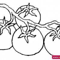 okul öncesınde sağlık haftası ,kağit işleri maske hayvanlar engelliler haftasi ,meyveler ,meslekler sayılar (1948)