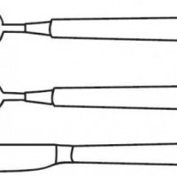 okul öncesınde sağlık haftası ,kağit işleri maske hayvanlar engelliler haftasi ,meyveler ,meslekler sayılar (1954)
