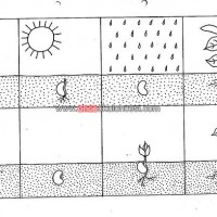 okul öncesınde sağlık haftası ,kağit işleri maske hayvanlar engelliler haftasi ,meyveler ,meslekler sayılar (1963)