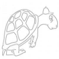 okul öncesınde sağlık haftası ,kağit işleri maske hayvanlar engelliler haftasi ,meyveler ,meslekler sayılar (1977)