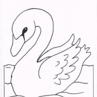 okul öncesınde sağlık haftası ,kağit işleri maske hayvanlar engelliler haftasi ,meyveler ,meslekler sayılar (1986)