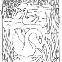 okul öncesınde sağlık haftası ,kağit işleri maske hayvanlar engelliler haftasi ,meyveler ,meslekler sayılar (1987)