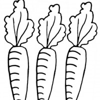 okul öncesınde sağlık haftası ,kağit işleri maske hayvanlar engelliler haftasi ,meyveler ,meslekler sayılar (1988)