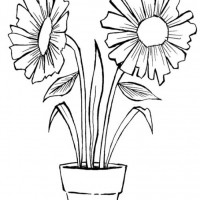 okul öncesınde sağlık haftası ,kağit işleri maske hayvanlar engelliler haftasi ,meyveler ,meslekler sayılar (1998)