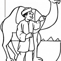 okul öncesınde sağlık haftası ,kağit işleri maske hayvanlar engelliler haftasi ,meyveler ,meslekler sayılar (2008)