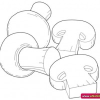 okul öncesınde sağlık haftası ,kağit işleri maske hayvanlar engelliler haftasi ,meyveler ,meslekler sayılar (2010)