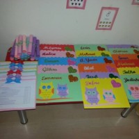 okul öncesınde sağlık haftası ,kağit işleri maske hayvanlar engelliler haftasi ,meyveler ,meslekler sayılar (2016)