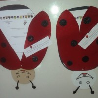 okul öncesınde sağlık haftası ,kağit işleri maske hayvanlar engelliler haftasi ,meyveler ,meslekler sayılar (2025)