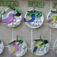 okul öncesınde sağlık haftası ,kağit işleri maske hayvanlar engelliler haftasi ,meyveler ,meslekler sayılar (2034)