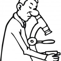 okul öncesınde sağlık haftası ,kağit işleri maske hayvanlar engelliler haftasi ,meyveler ,meslekler sayılar (2036)