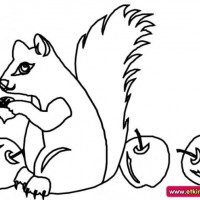 okul öncesınde sağlık haftası ,kağit işleri maske hayvanlar engelliler haftasi ,meyveler ,meslekler sayılar (2040)