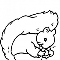 okul öncesınde sağlık haftası ,kağit işleri maske hayvanlar engelliler haftasi ,meyveler ,meslekler sayılar (2042)