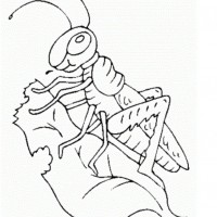 okul öncesınde sağlık haftası ,kağit işleri maske hayvanlar engelliler haftasi ,meyveler ,meslekler sayılar (2044)