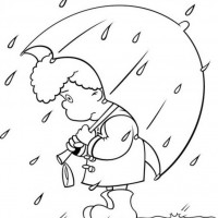 okul öncesınde sağlık haftası ,kağit işleri maske hayvanlar engelliler haftasi ,meyveler ,meslekler sayılar (2048)