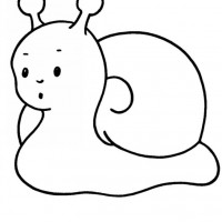 okul öncesınde sağlık haftası ,kağit işleri maske hayvanlar engelliler haftasi ,meyveler ,meslekler sayılar (2064)