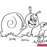 okul öncesınde sağlık haftası ,kağit işleri maske hayvanlar engelliler haftasi ,meyveler ,meslekler sayılar (2065)