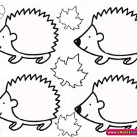 okul öncesınde sağlık haftası ,kağit işleri maske hayvanlar engelliler haftasi ,meyveler ,meslekler sayılar (2072)