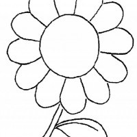 okul öncesınde sağlık haftası ,kağit işleri maske hayvanlar engelliler haftasi ,meyveler ,meslekler sayılar (2093)