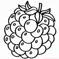 okul öncesınde sağlık haftası ,kağit işleri maske hayvanlar engelliler haftasi ,meyveler ,meslekler sayılar (2100)