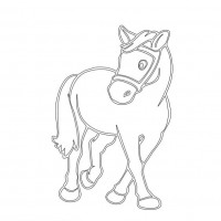 okul öncesınde sağlık haftası ,kağit işleri maske hayvanlar engelliler haftasi ,meyveler ,meslekler sayılar (2101)