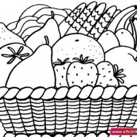 okul öncesınde sağlık haftası ,kağit işleri maske hayvanlar engelliler haftasi ,meyveler ,meslekler sayılar (2109)