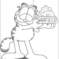 okul öncesınde sağlık haftası ,kağit işleri maske hayvanlar engelliler haftasi ,meyveler ,meslekler sayılar (2112)