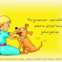 okul öncesınde sağlık haftası ,kağit işleri maske hayvanlar engelliler haftasi ,meyveler ,meslekler sayılar (2114)