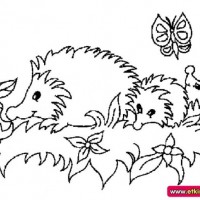 okul öncesınde sağlık haftası ,kağit işleri maske hayvanlar engelliler haftasi ,meyveler ,meslekler sayılar (2128)