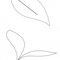 okul öncesınde sağlık haftası ,kağit işleri maske hayvanlar engelliler haftasi ,meyveler ,meslekler sayılar (2143)