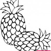 okul öncesınde sağlık haftası ,kağit işleri maske hayvanlar engelliler haftasi ,meyveler ,meslekler sayılar (2171)