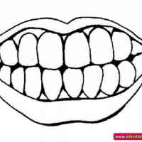 okul öncesınde sağlık haftası ,kağit işleri maske hayvanlar engelliler haftasi ,meyveler ,meslekler sayılar (2176)