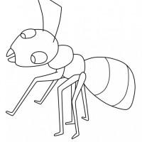 okul öncesınde sağlık haftası ,kağit işleri maske hayvanlar engelliler haftasi ,meyveler ,meslekler sayılar (2199)