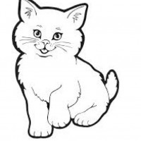 okul öncesınde sağlık haftası ,kağit işleri maske hayvanlar engelliler haftasi ,meyveler ,meslekler sayılar (2204)