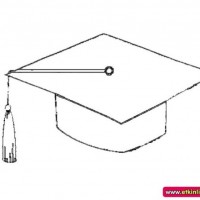 okul öncesınde sağlık haftası ,kağit işleri maske hayvanlar engelliler haftasi ,meyveler ,meslekler sayılar (2206)