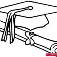 okul öncesınde sağlık haftası ,kağit işleri maske hayvanlar engelliler haftasi ,meyveler ,meslekler sayılar (2207)