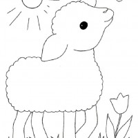 okul öncesınde sağlık haftası ,kağit işleri maske hayvanlar engelliler haftasi ,meyveler ,meslekler sayılar (2238)