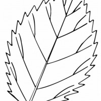 okul öncesınde sağlık haftası ,kağit işleri maske hayvanlar engelliler haftasi ,meyveler ,meslekler sayılar (2244)