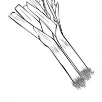 okul öncesınde sağlık haftası ,kağit işleri maske hayvanlar engelliler haftasi ,meyveler ,meslekler sayılar (2247)