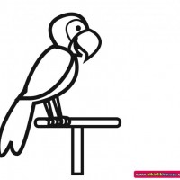 okul öncesınde sağlık haftası ,kağit işleri maske hayvanlar engelliler haftasi ,meyveler ,meslekler sayılar (2253)