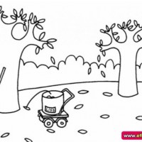 okul öncesınde sağlık haftası ,kağit işleri maske hayvanlar engelliler haftasi ,meyveler ,meslekler sayılar (2267)