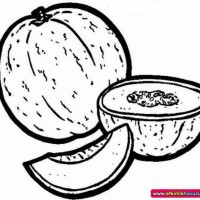 okul öncesınde sağlık haftası ,kağit işleri maske hayvanlar engelliler haftasi ,meyveler ,meslekler sayılar (2290)