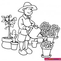 okul öncesınde sağlık haftası ,kağit işleri maske hayvanlar engelliler haftasi ,meyveler ,meslekler sayılar (2294)