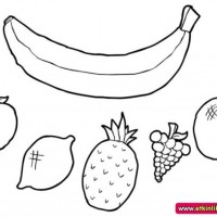 okul öncesınde sağlık haftası ,kağit işleri maske hayvanlar engelliler haftasi ,meyveler ,meslekler sayılar (2305)