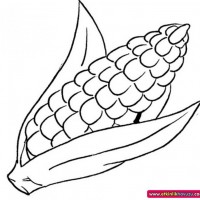 okul öncesınde sağlık haftası ,kağit işleri maske hayvanlar engelliler haftasi ,meyveler ,meslekler sayılar (2310)