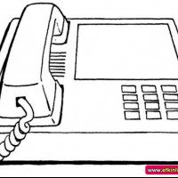 okul öncesınde sağlık haftası ,kağit işleri maske hayvanlar engelliler haftasi ,meyveler ,meslekler sayılar (2355)