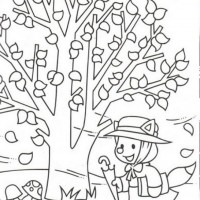 okul öncesınde sağlık haftası ,kağit işleri maske hayvanlar engelliler haftasi ,meyveler ,meslekler sayılar (2361)